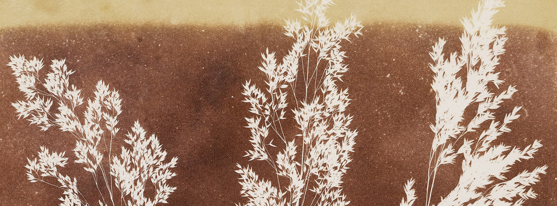 visit.bodleian.ox.ac.uk