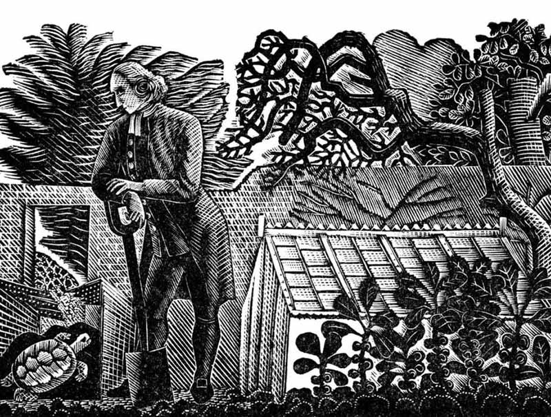 A wood engraving on paper of a gentleman in 16th-century clothing, leaning on a spade in a walled garden with a conservatory, admiring a tortoise in the lower left corner.