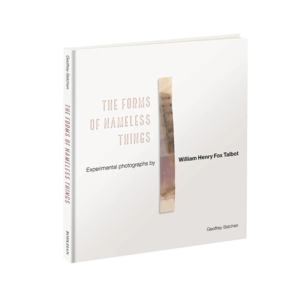 A 3D view of the front cover of 'The Forms of Nameless Things'