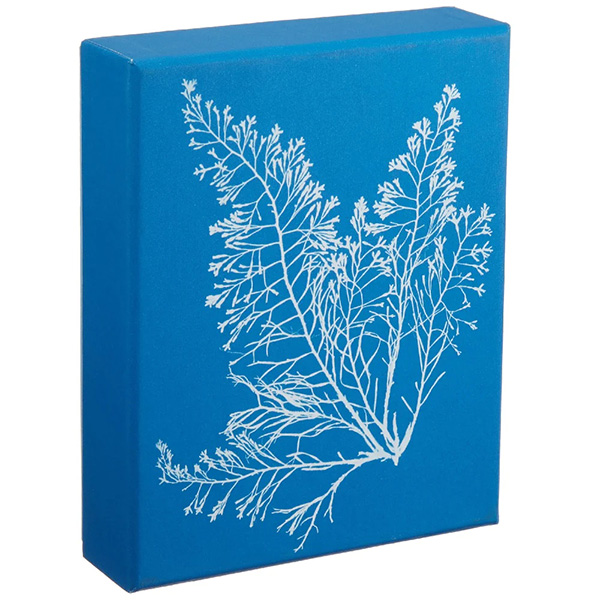 A bright blue box featuring a cyanotype of a plant on the front
