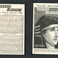 On the left - a year calendar for 1889-90 and on the right an image of a nun advertising a court victory for the soap