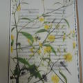 A page of text covered with painted yellow flowers and leaves