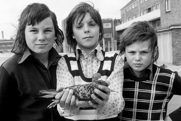 A black and white photograph of three young boys looking directly at the camera, the boy in the centre holds a pigeon