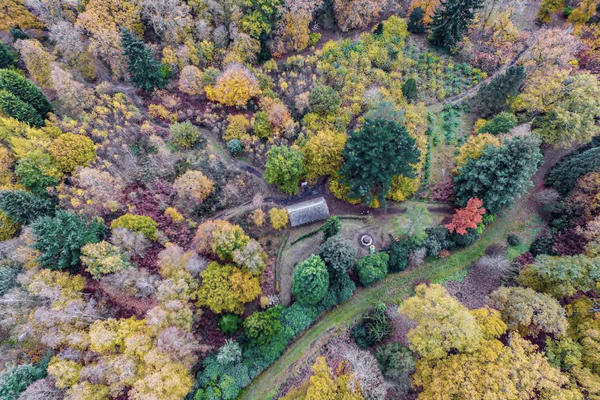 A drone view of the Botanic Gardens in Oxford - a green grass path winds along the ground surrounded by trees and bushes in colours from yellow to green