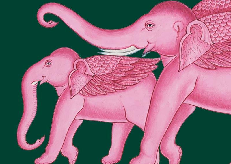 Two detailed illustrations of elephants, coloured pink, against a dark green background