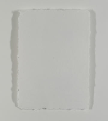 A white piece of paper on a white background